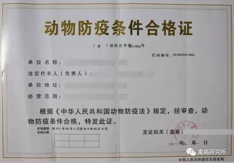 如何选购优质牲畜？一份全面的养殖指南