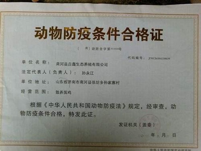 定襄养殖场：现代农业的绿色实践